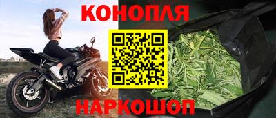 крисы Лесосибирск