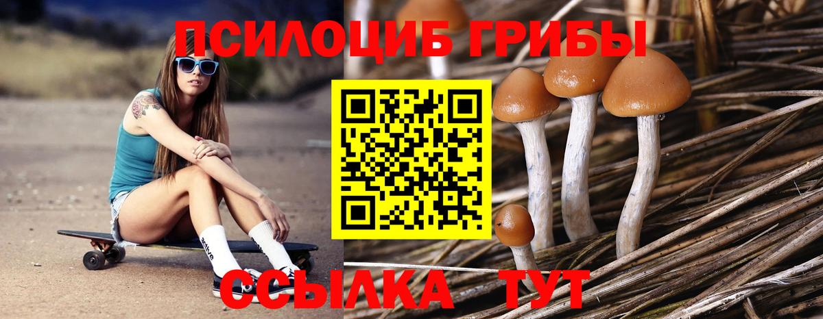 Псилоцибиновые грибы мухоморы  Вход с VPN  Грозный 
